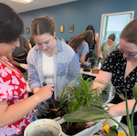 Live Foliage Improves Overall Sense of Well-Being while in the CRS Suite